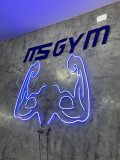 ms-gym-academia